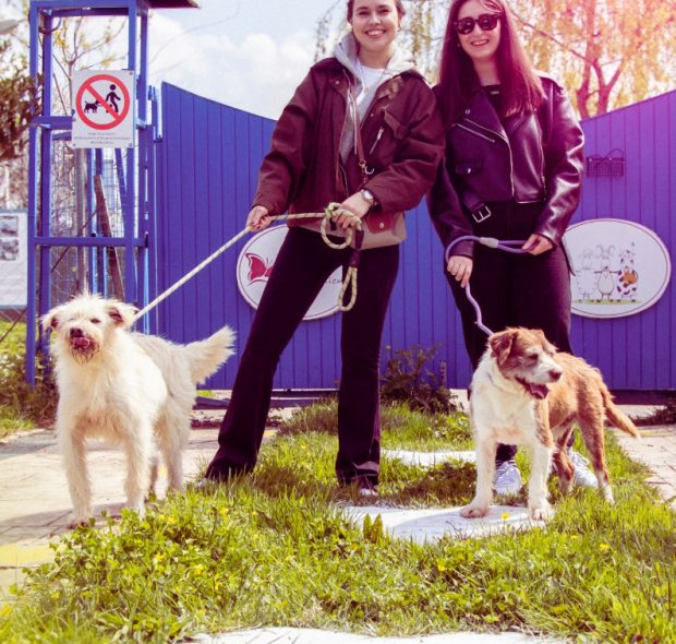 Başlıksız-4 (2) Başlıksız-4 (2)